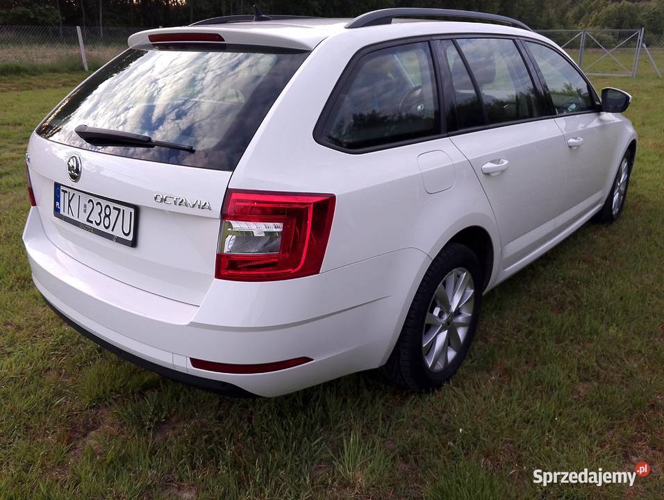 Skoda Octavia 2019 Bodzentyn