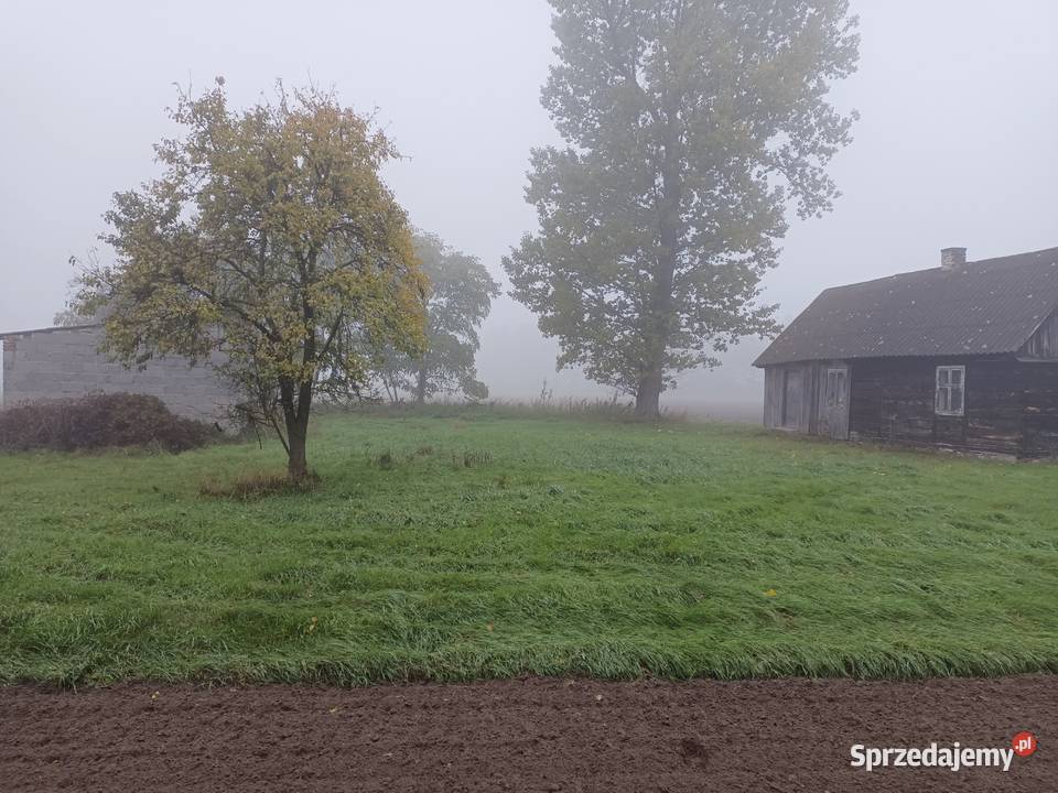 dzialka 17 ar z budynkami i mediami Konopnica