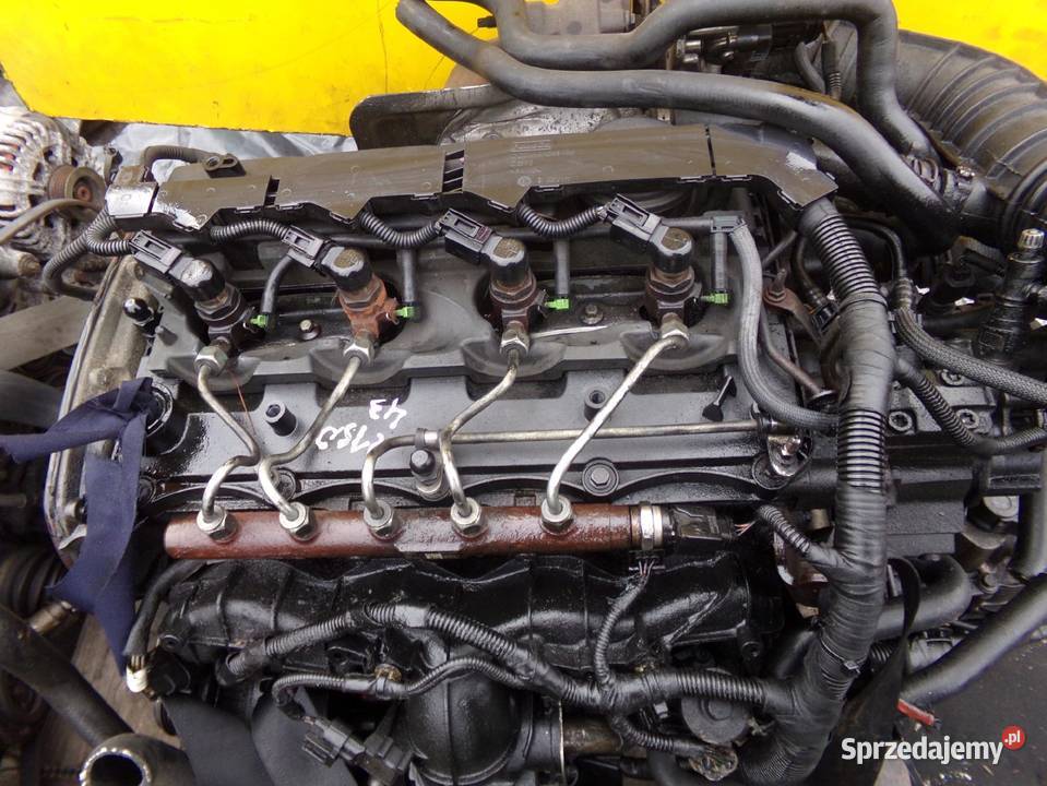 TRANSIT MK7 22 TDCI FWD 14r 100 DRFB wtrysk Suków