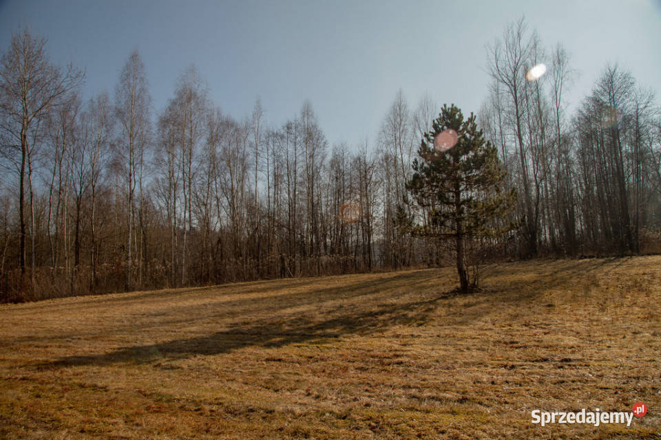 Siedlisko w Joninach z działkami 35 hektara małopolskie Joniny sprzedam