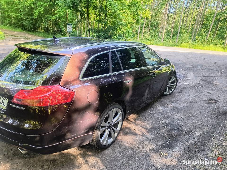 Opel Insignia A 20 CDTI 4x4 Automat 195KM Sobowidz
