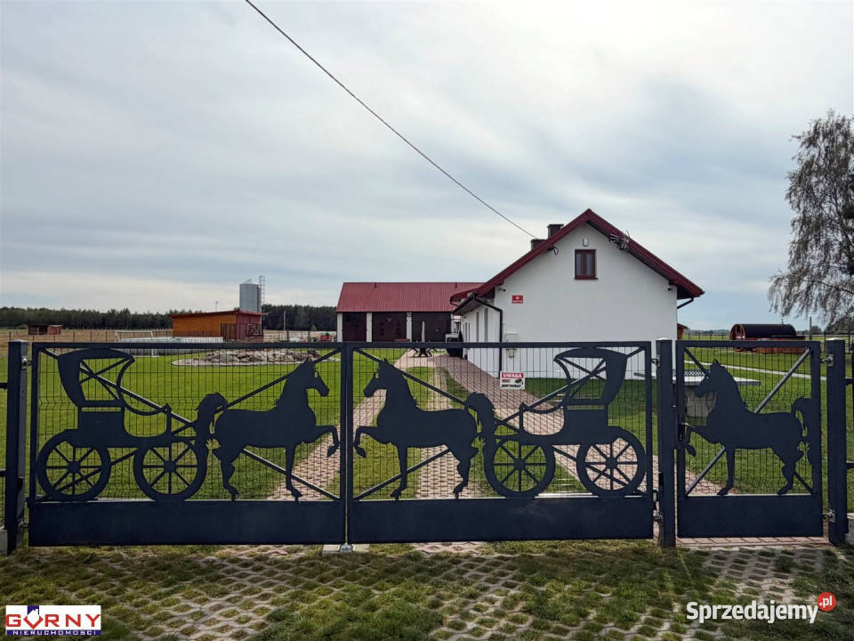 sprzedaży lokalu Marianek 21000m2
