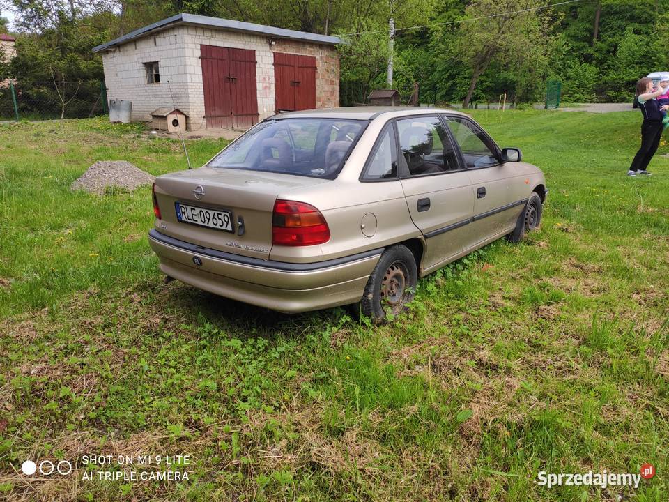 Sprzedam Zmysłówka