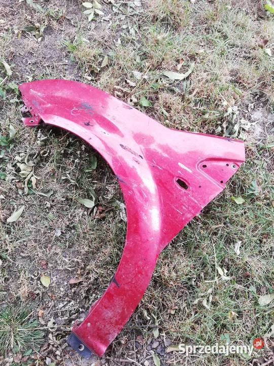 Citroen C2 błotnik lewy świętokrzyskie Kielce