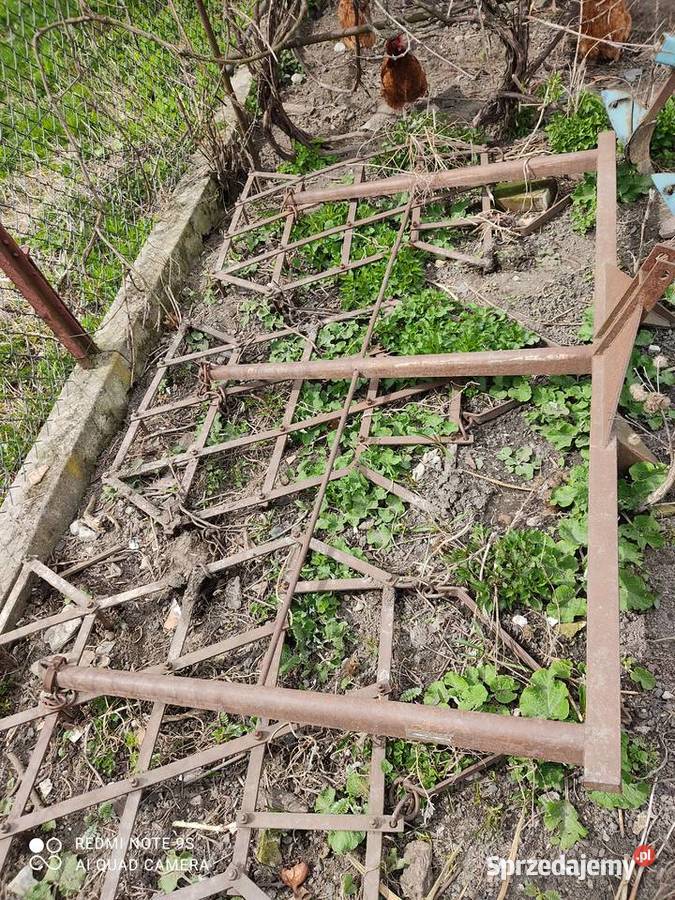 Brony Accord Szaniawy-Matysy