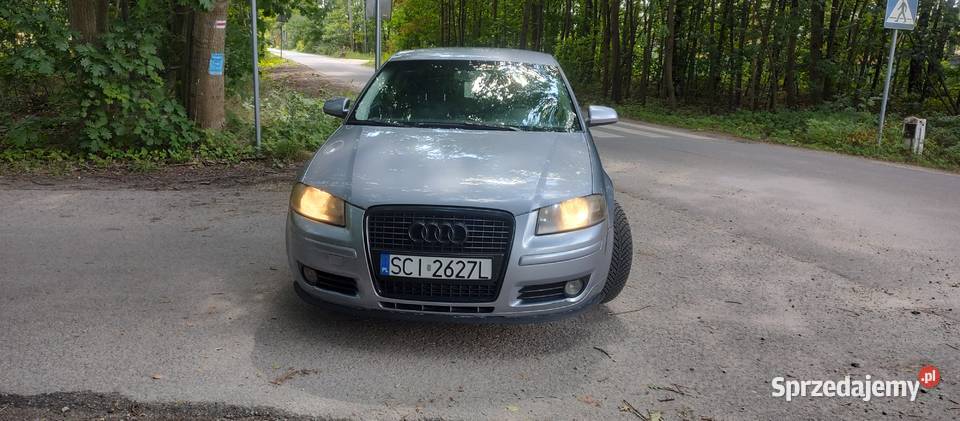 Audi A3 8P 19TDI 2005r Klima SprawnaŁadne Rok produkcji 2006 Łódź sprzedam