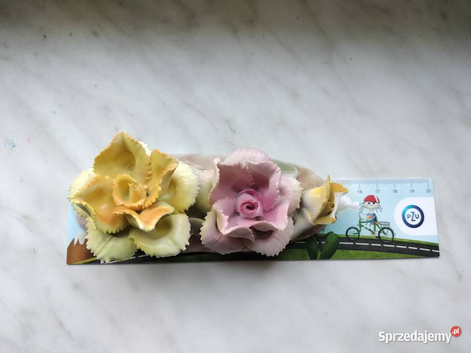 Porcelana róże Rumunia cluj Choszczno