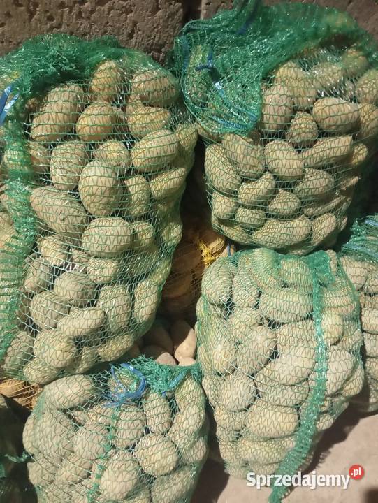 Sprzedam ziemniaki Bieńkówka sprzedam