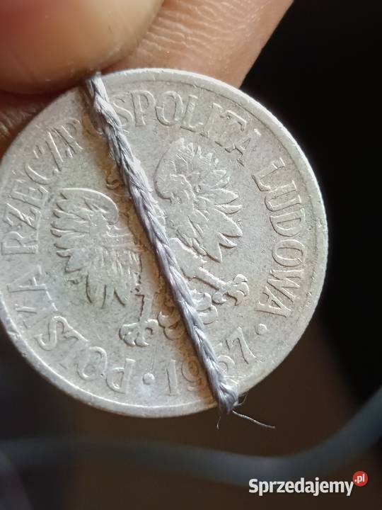 sprzedam monete 50 groszy 1957 skretka lekka lubelskie Chełm sprzedam