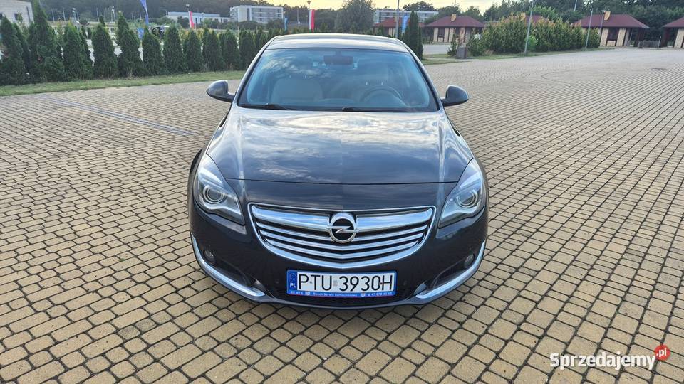Opel Insignia OPEL INSIGNIA 20 CDTI 163 diesel Uniejów
