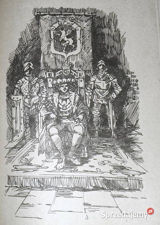 Czerwony sokół Ireneusz Gwidon Kamiński miękka Pozostałe lubelskie Chełm