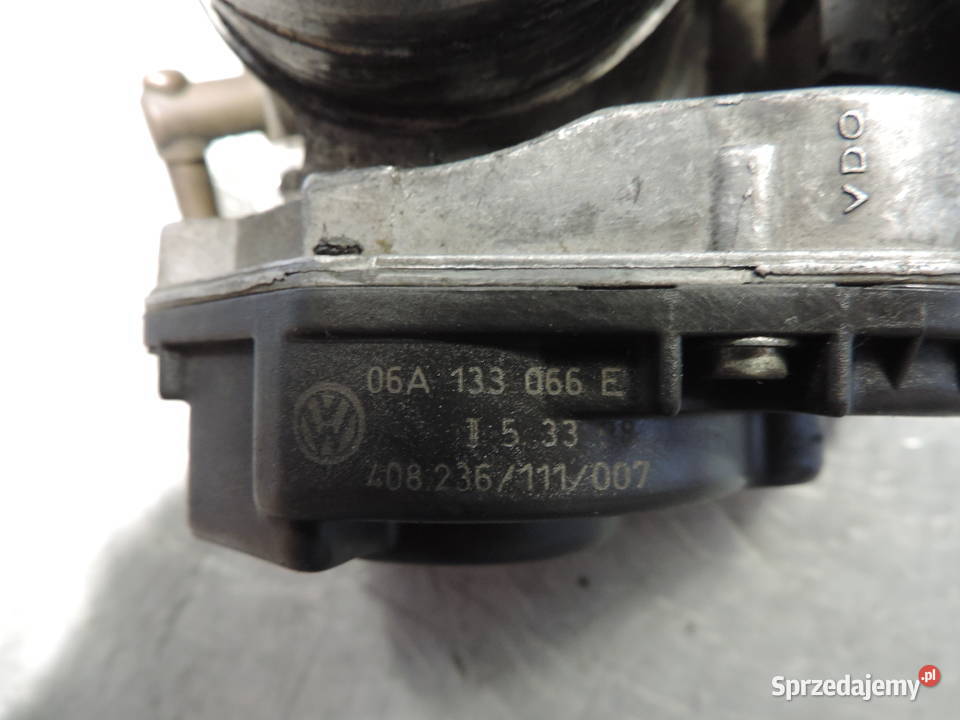 PRZEPUSTNICA 06A133066E VW GOLF IV BORA BEETLE Nowy Sącz sprzedam