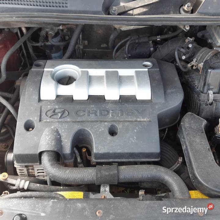 Hyundai Trajet 20 crdi całość części Biała Podlaska