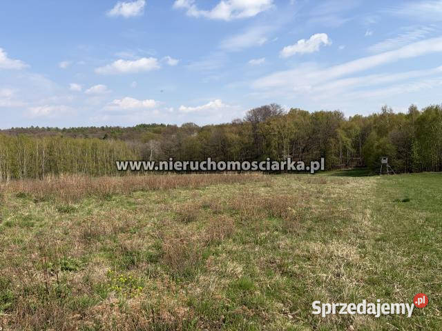Działka do sprzedania 5100 metrów Lubomia sprzedam
