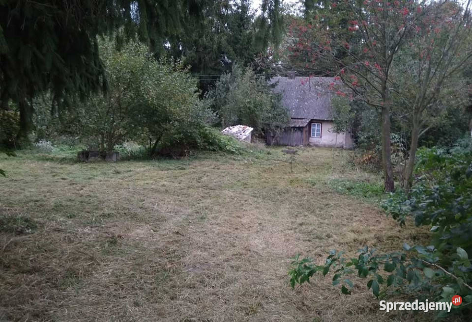 Siedlisko z potencjałem 55 arów w Draganach Dragany