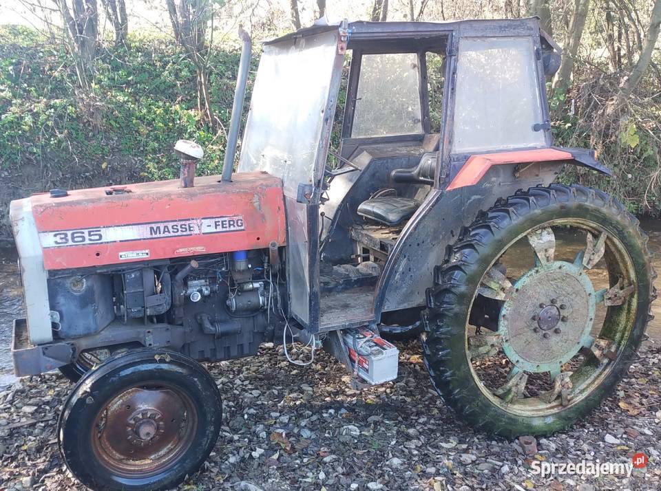 Massey Ferguson 365 Ciągniki Nowy Targ