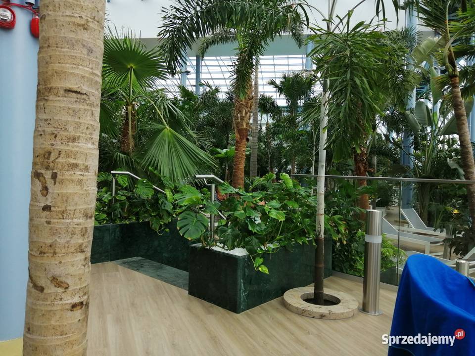 Donice u doniczki betonowe Grodzisko