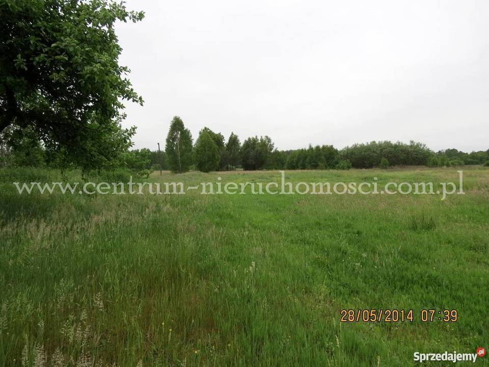 Działka budowlana Małków gm Poświętne 1000m2 Grunty i działki Małków