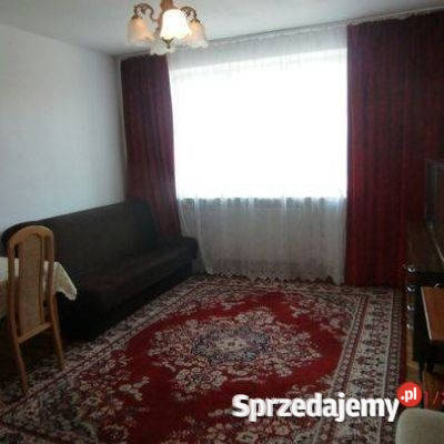 Wynajmę pokój osobie pracującej balkon Nieruchomości Rybie