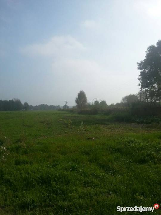 Sprzedam dom na wsi 110m2 działka 2000m2 5 2000m2 Trzebnica