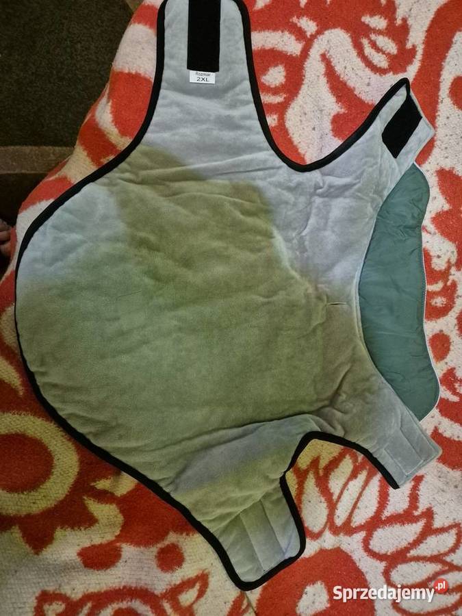 Ubranie psa Piaseczno