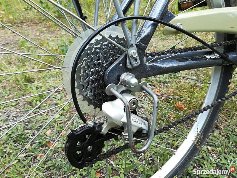 Rower trekkingowy ALU REX Silverstreet aluminium