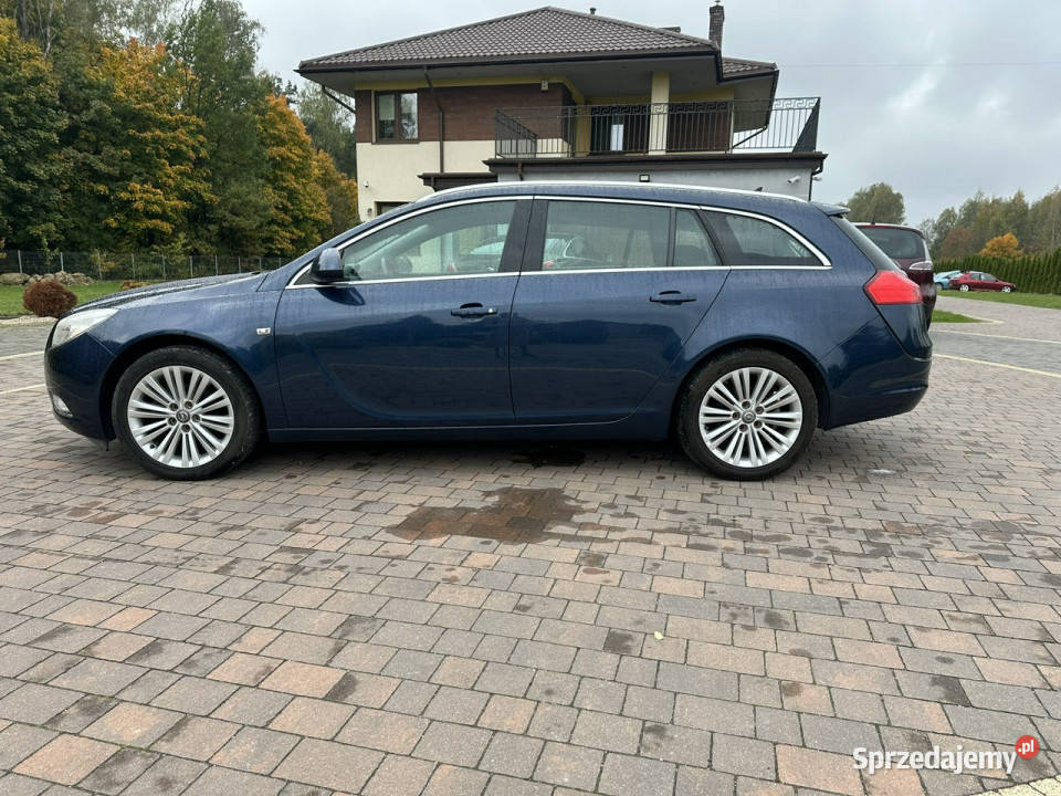 Opel Insignia A 20082017 lakier metallic Lipówki