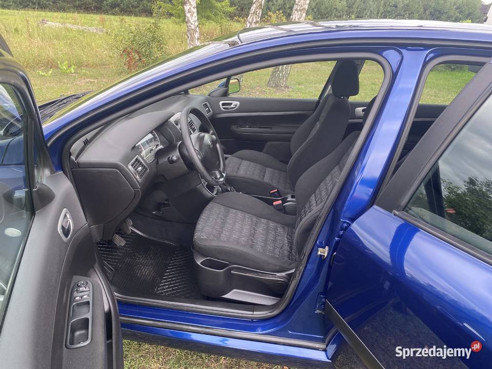 ŚLICZNY PEUGEOT 307 16 b łódzkie
