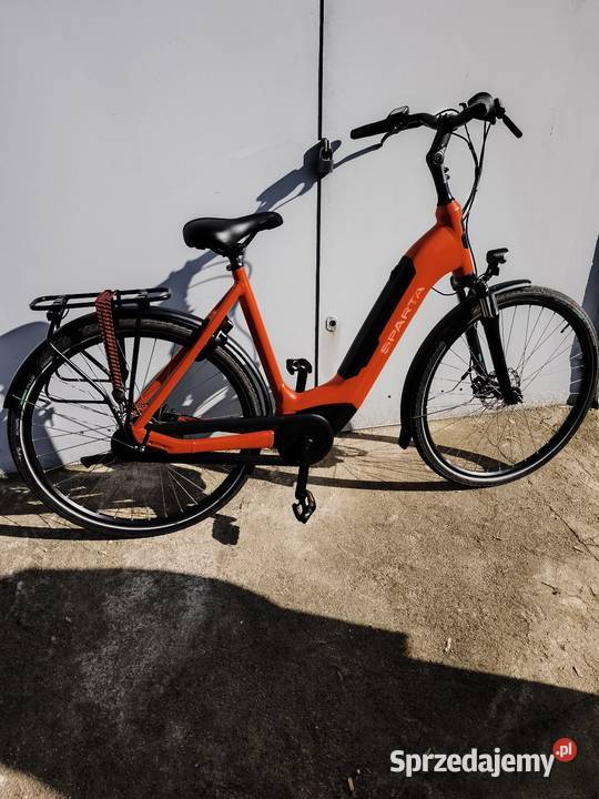 Sparta C Grid Engrey Inowrocław