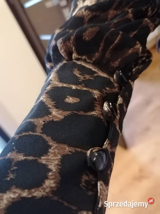 Bluzka w panterkę EU 36 UK 8 Made in UKRAINE Skokowa sprzedam
