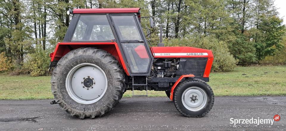 Ciagnik URSUS C 385 Zarejstrowany opłacony zam C Ursus Zwoleń