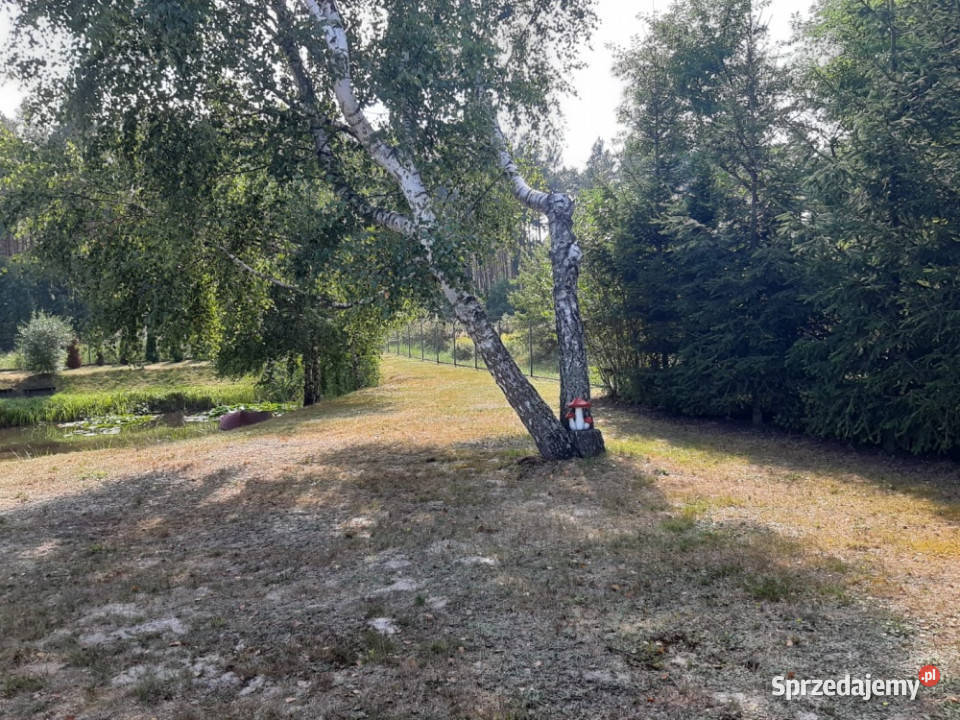 Działka budowlana 3074m2 Czysta