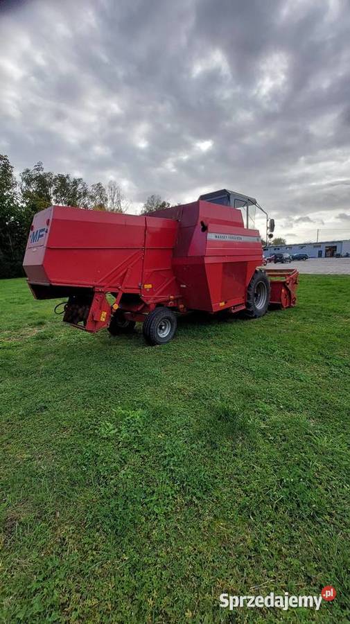 Kombaj Massey ferguson 16 Zbożowe wielkopolskie Jarocin