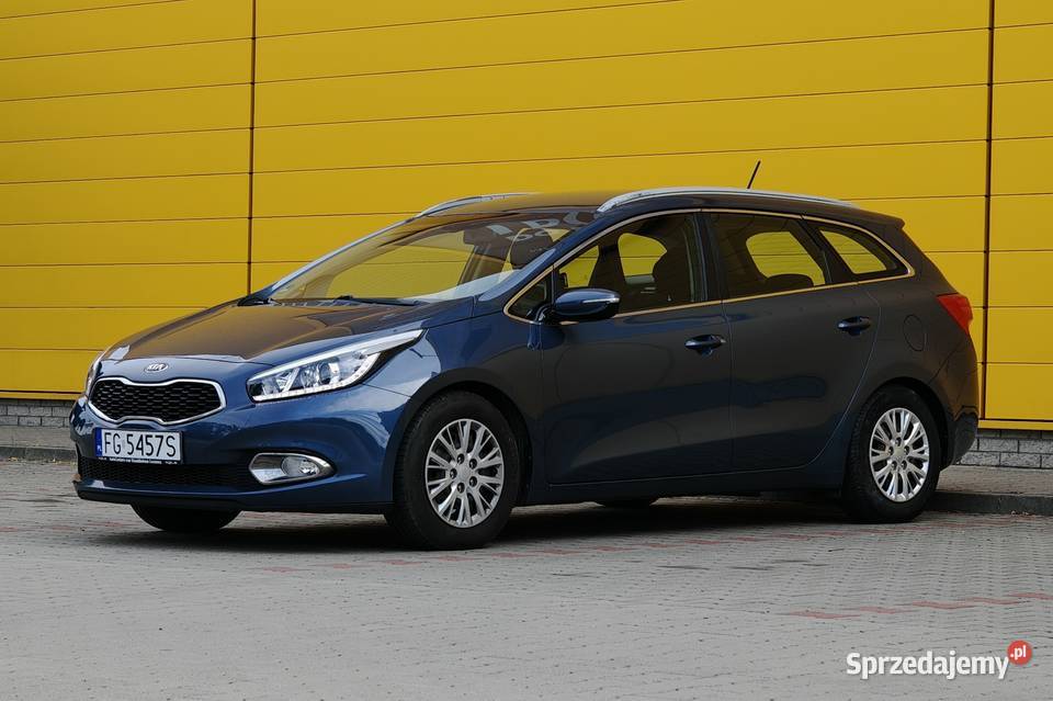 Kia Ceed ceed zadbana bez wkładu finansowego Gorzów Wielkopolski