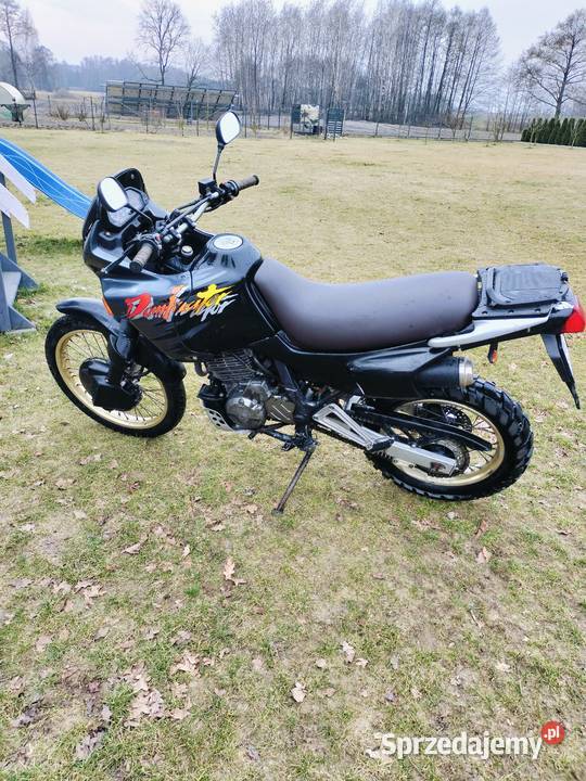 Honda dominator 650 Łask