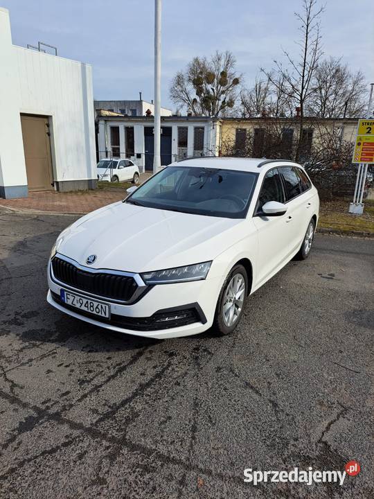 Piękna Skodzinka nowa Nowy rozrząd i oleje kurtyny powietrzne Octavia Żary