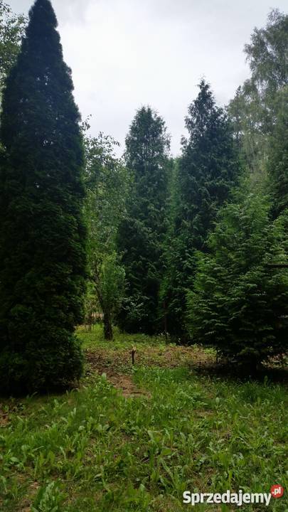 Działka w POD Wirnik Warszawa Bemowo 378m2 leśna