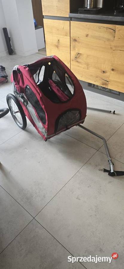 Przyczepa Psa zwierząt Błaszki usługa dla zwierząt