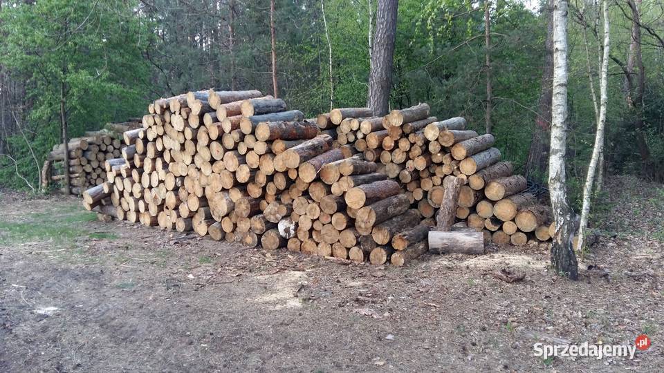 Drewno opałowe opał Sosna w grubych wałkach Łosice