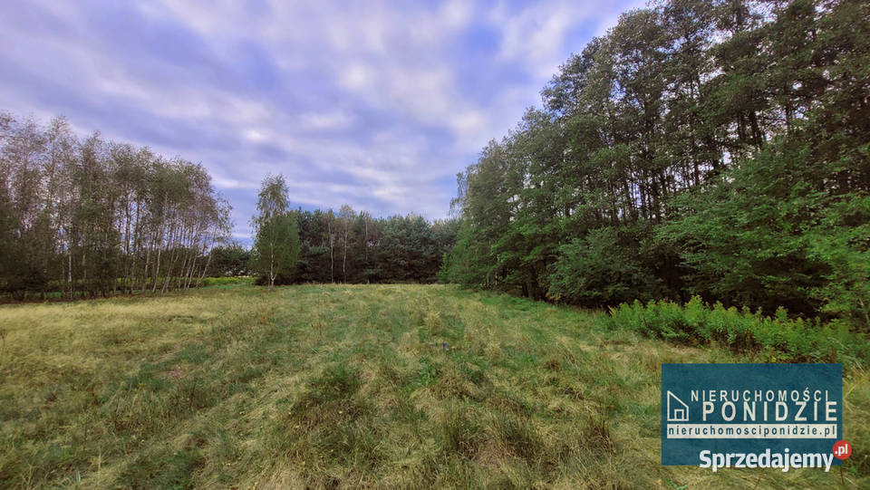 Działka rekreacyjna Łatanice kBuskaZdroju sprzedam