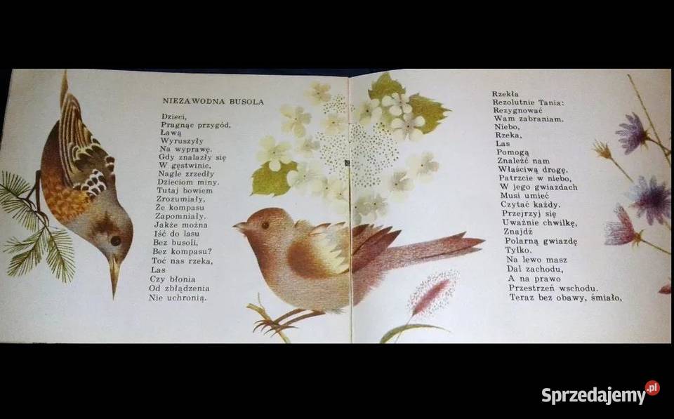 Lato Walancin Łuksza Chełm sprzedam