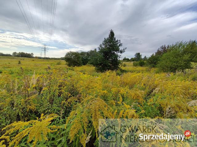Grunt 7100m2 Wojkowice 41zł/m2 Nieruchomości sprzedam