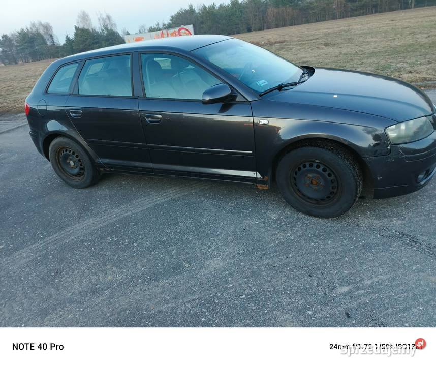 Audi A3 8P 19TDI 248000km łódzkie Dłutów sprzedam