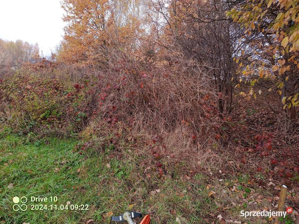 Koszenie traw i zarośli Trawy Radom