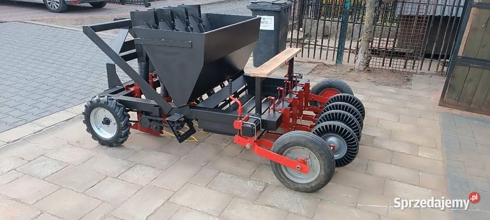 Sadzarka dymka cebula czosnek bób warzywa Kutno