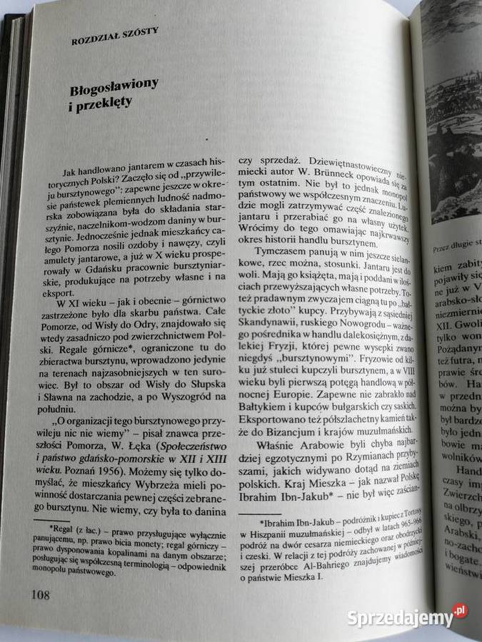 Złoto Północy Opowieści o bursztynie Anna pomorskie Gdynia