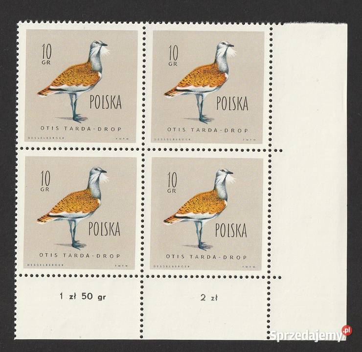 POLSKA DROP OTIS TARDA 1960 CZYSTE łódzkie Łódź sprzedam