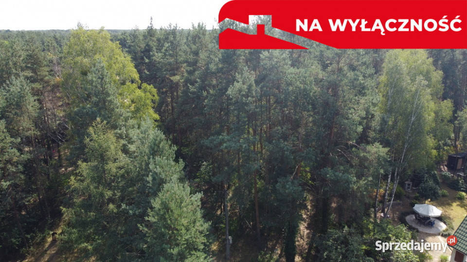 Działka letniskowa 800 m2 w Woli Chodkowskiej Wola Chodkowska