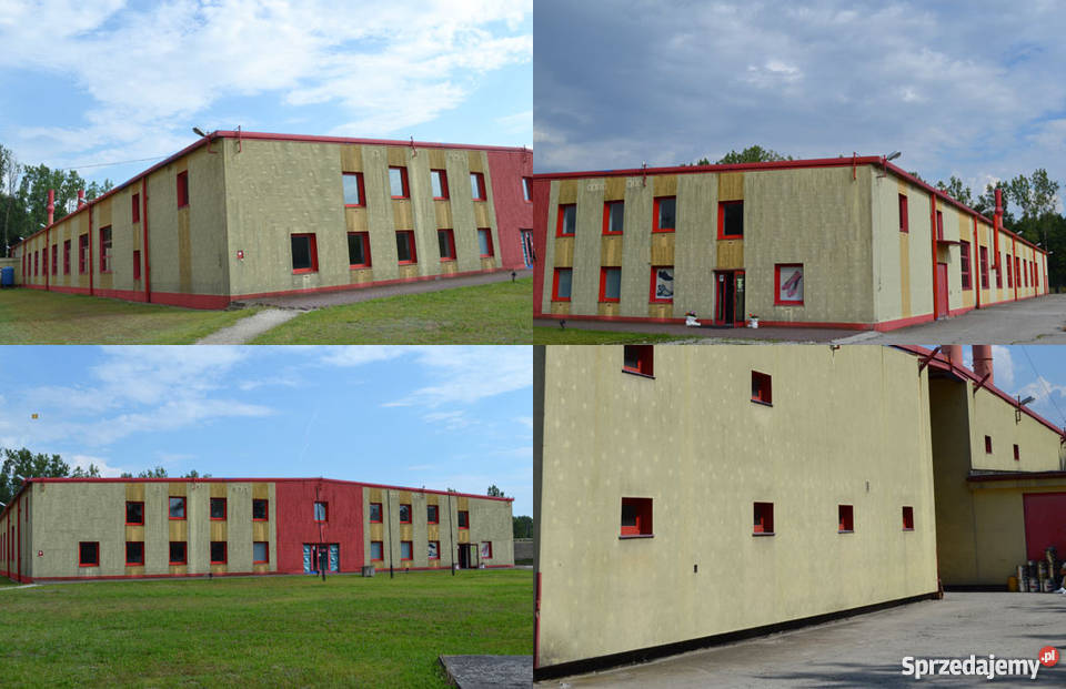 HALA PRZEMYSŁOWA OleśnicaSpalice woj Dolnośląski Oleśnica