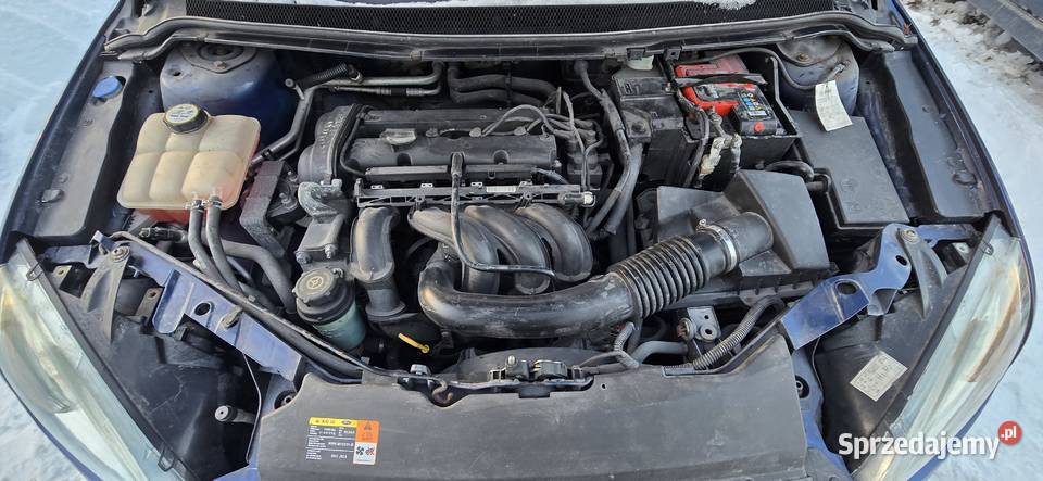 FORD FOCUS 16i 100 KLIMA ZADBANY MOŻLIWA ZAMIANA Świdnik
